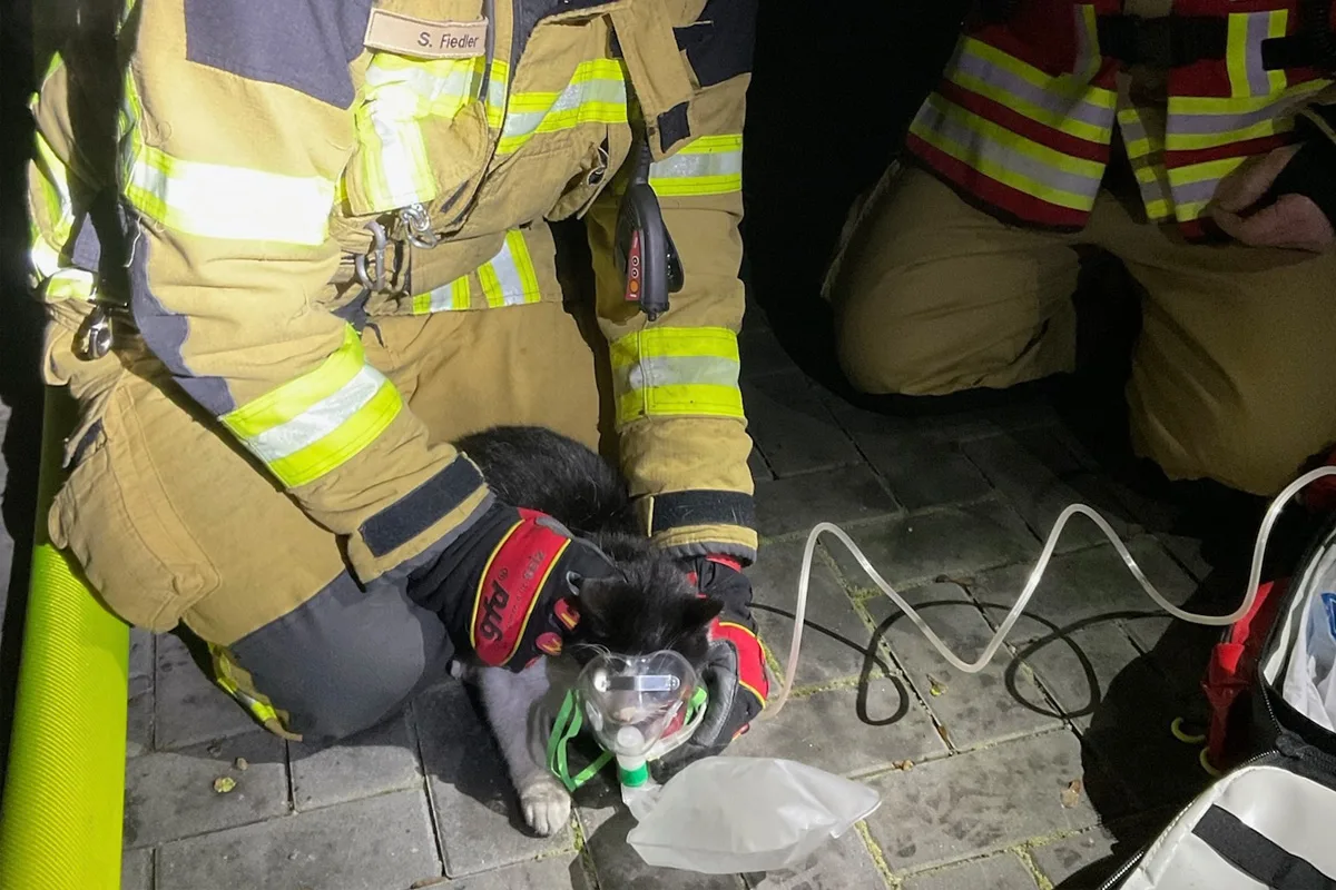 Alpen – Katze bei Brand von Keller gerettet