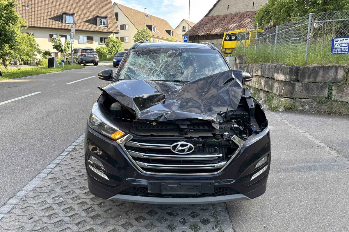 Brunegg AG – Pferd nach Kollision mit Personenwagen verletzt