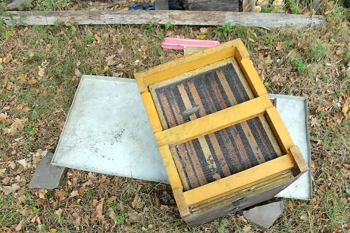 Vandalismus in Drolshagen - Unbekannte beschädigen Bienenzarge - Bienenvölker gestorben