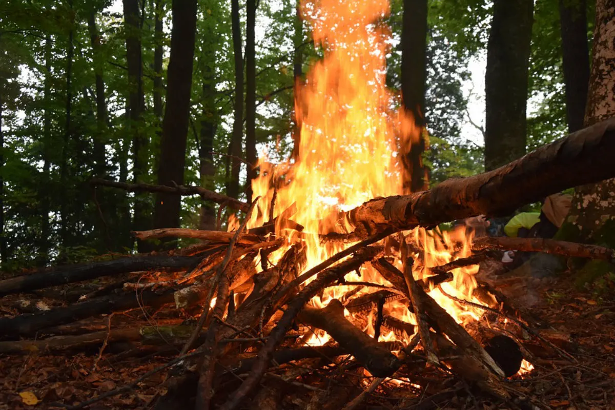 Pollegio TI - (Update) Waldbrand in der Leventina 