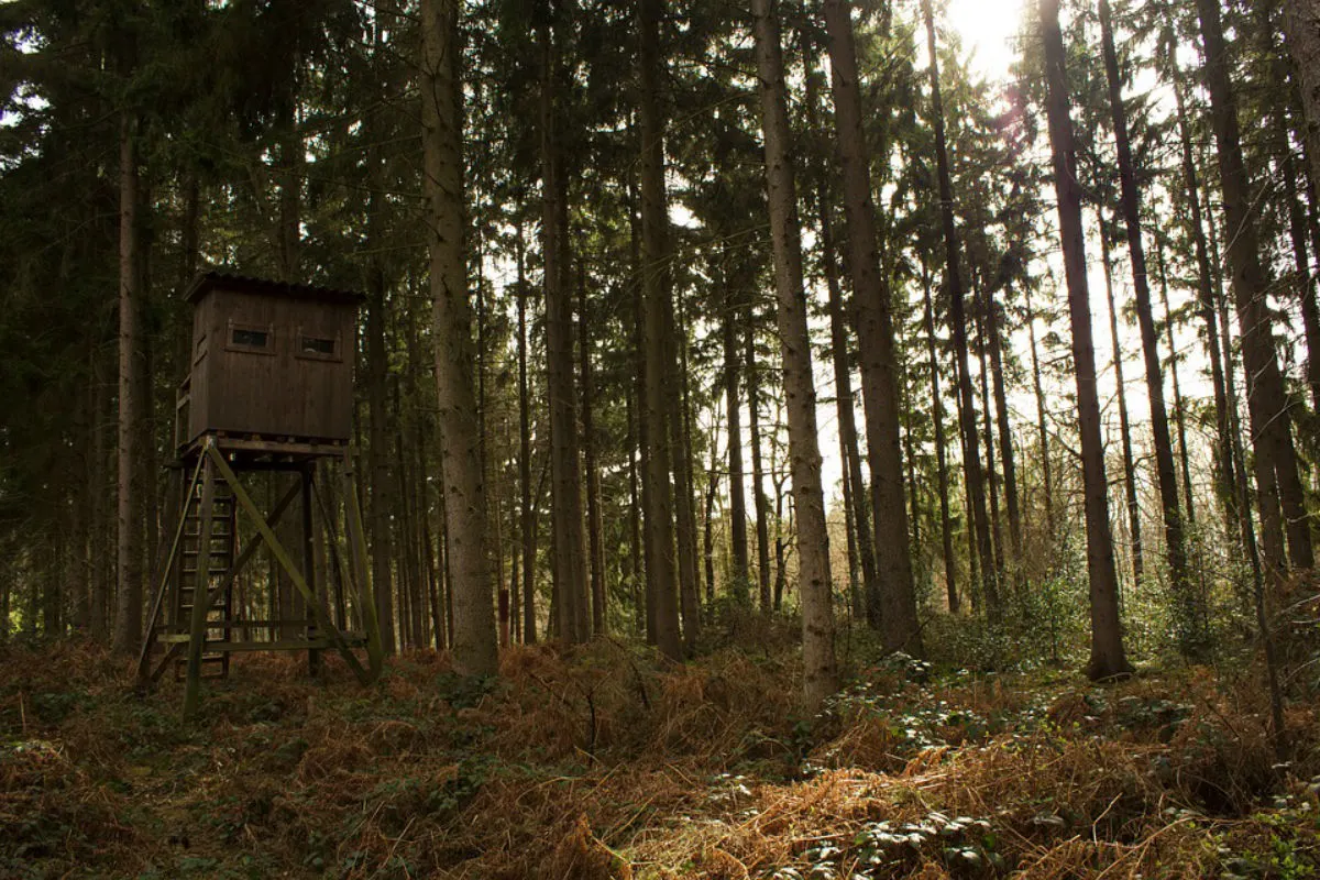 Kanton Basel-Landschaft - Ab sofort gilt im ganzen Kanton ein absolutes Feuerverbot im Freien