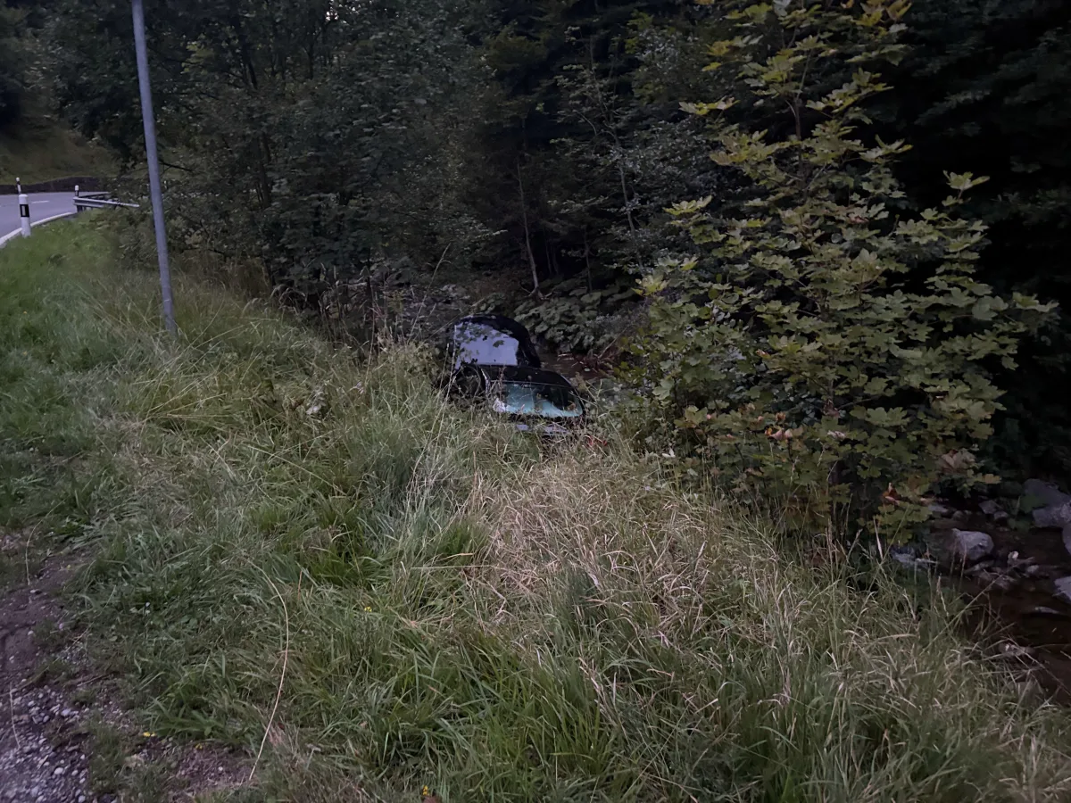 Ein Auto ist von der Straße abgekommen und liegt zwischen Bäumen im Gebüsch. Die Umgebung wirkt waldig und abgelegen.