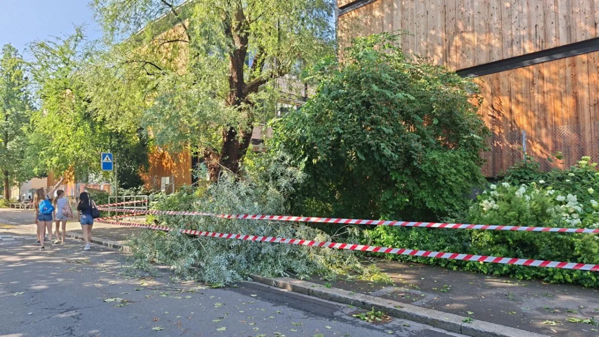 Ein großer heruntergefallener Ast blockiert einen Gehweg, das Gebiet ist mit Absperrband abgesichert.