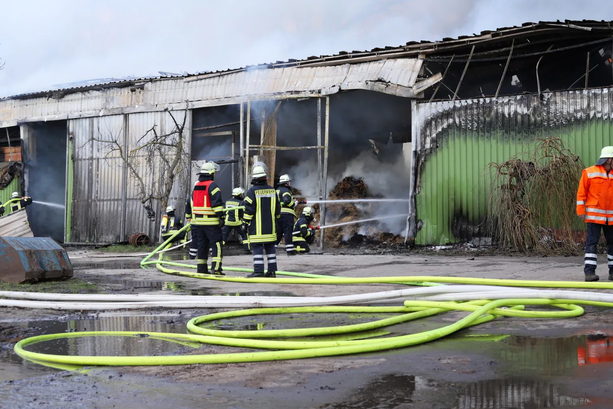 Pannecke-Trebel : Großbrand hält Feuerwehr in Atem - 150 Feuerwehrleute im stundenlangen Löscheinsatz