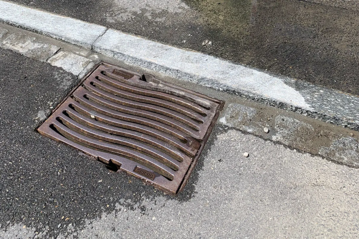 St.Gallen SG - Verendete Fische durch verschmutztes Wasser
