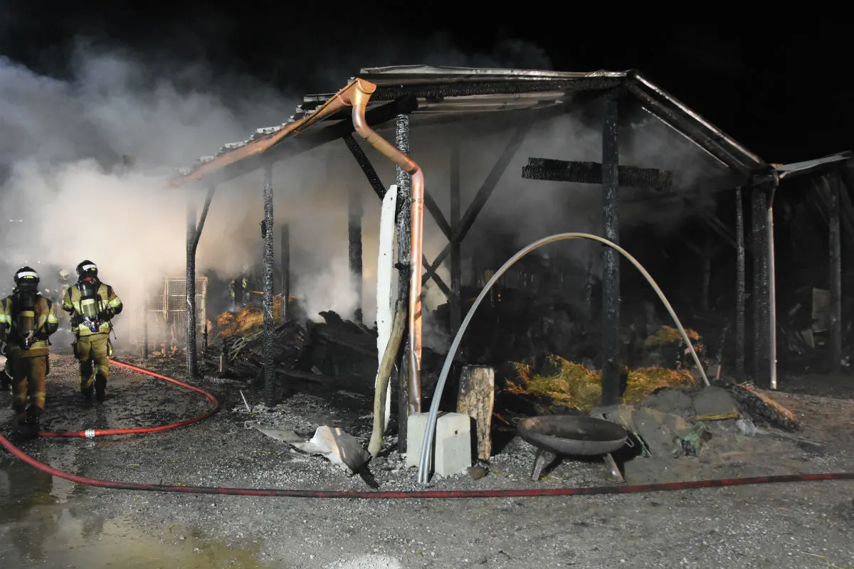 Rapperswil-Jona SG - Holz-Unterstand auf Bauernhof abgebrannt