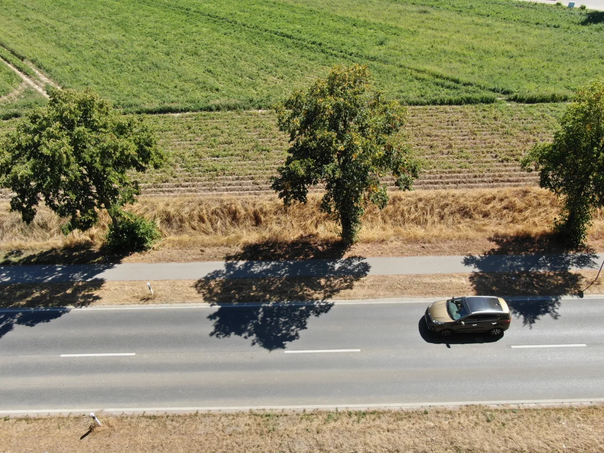 Ein einzelnes Auto fährt auf einer zweispurigen Landstraße, die von Feldern umgeben ist. Die Szene ist aus einer erhöhten Perspektive aufgenommen.