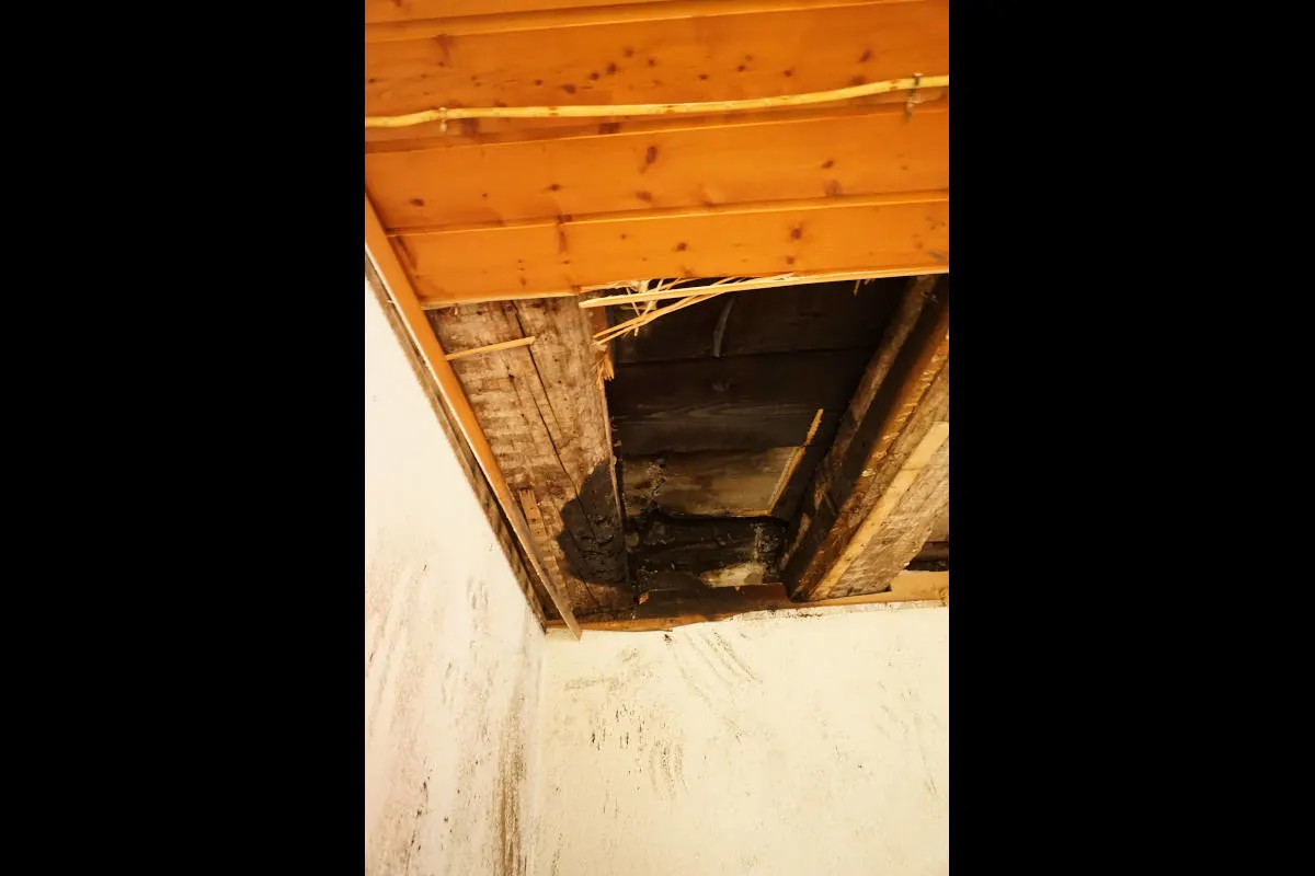 Brand Freiburg FR: Rauchentwicklung in einer Wohnung