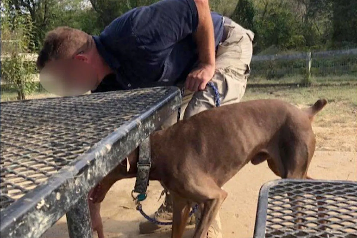 Waterboarding bei Hund weil er nicht gehorchte
