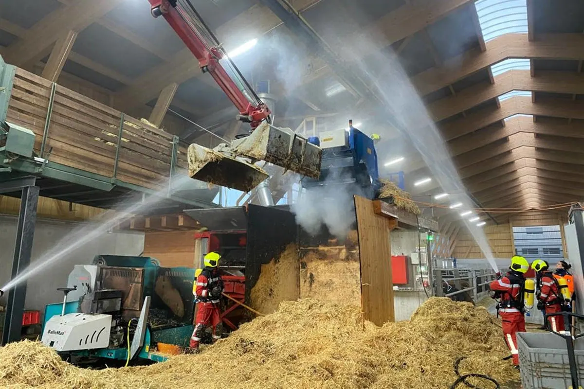 Maienfeld GR – Brand in Rindviehstall