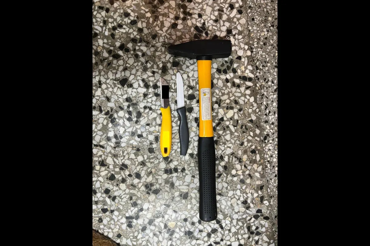 Wien – Ex-Lebensgefährten mit Hammer und Messer bedroht – mutmaßliche Täterin festgenommen