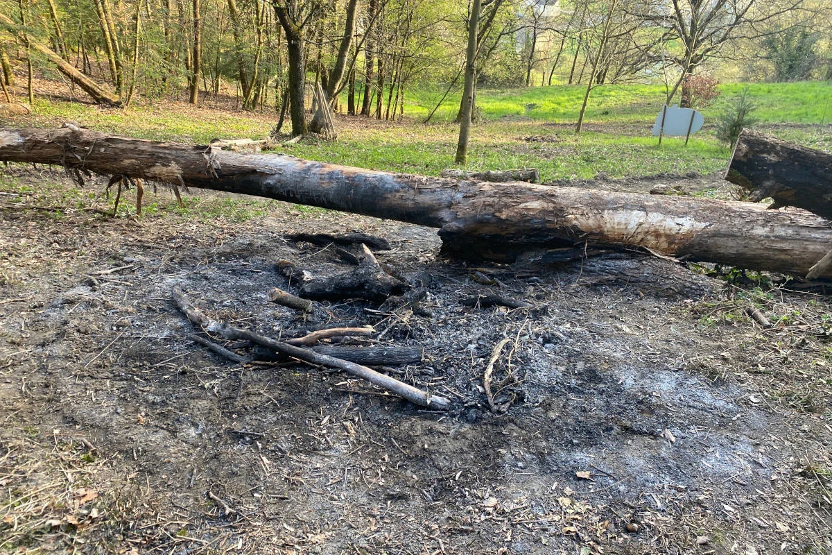 Gränichen AG – Zeugenaufruf nach Waldbrand 