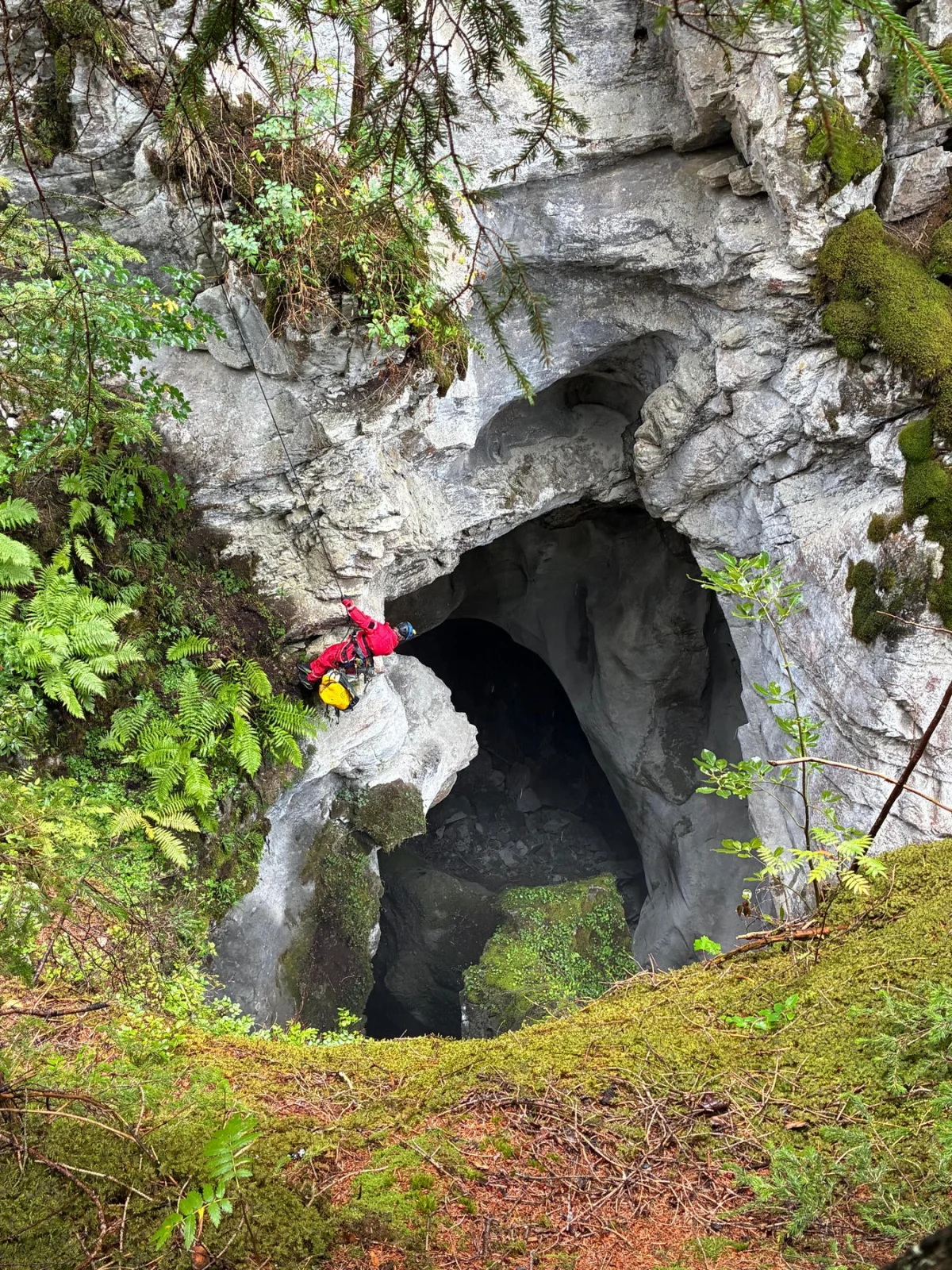 Ein Kletterer mit roter Kleidung seilt sich vorsichtig in eine große, von Vegetation umgebene Höhle ab. Die umgebende Landschaft ist felsig und bewachsen.
