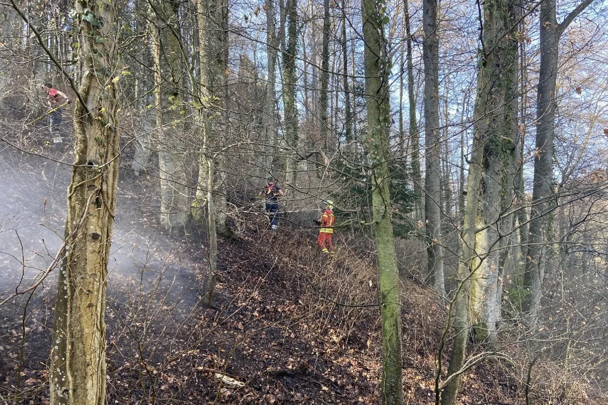 Tecknau BL - Waldbodenbrand erfordert Feuerwehreinsatz