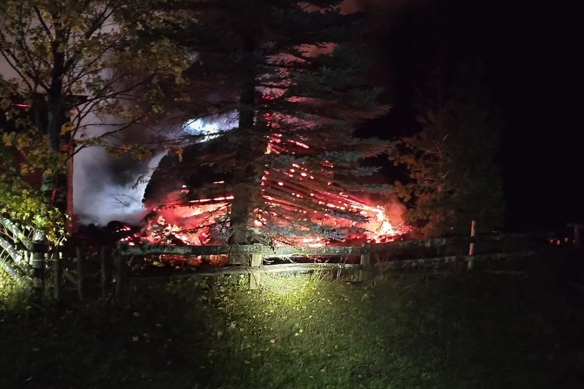 Ein brennendes Gebäude leuchtet rot hinter einer Baumreihe bei Nacht. Ein Holzzaun ist im Vordergrund sichtbar.