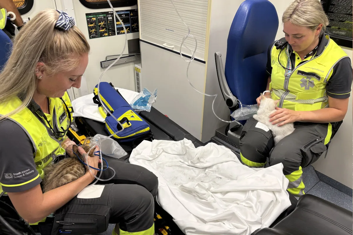 Zürich Kreis 3 – Zwei verletzte Personen nach Brand einer Wohnung