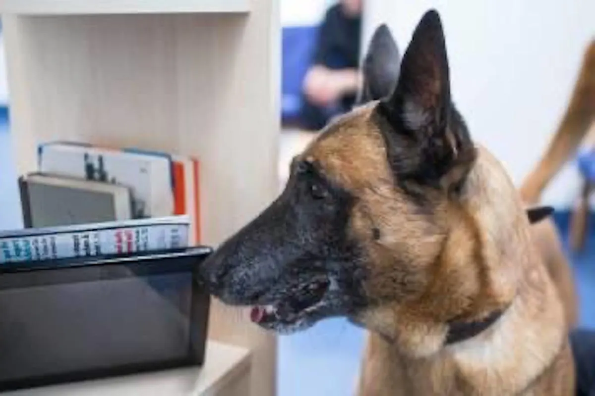 Wuppertal – Nach Missbrauchsverdacht – Datenträgerspürhund durchsucht Wohnung des Verdächtigen