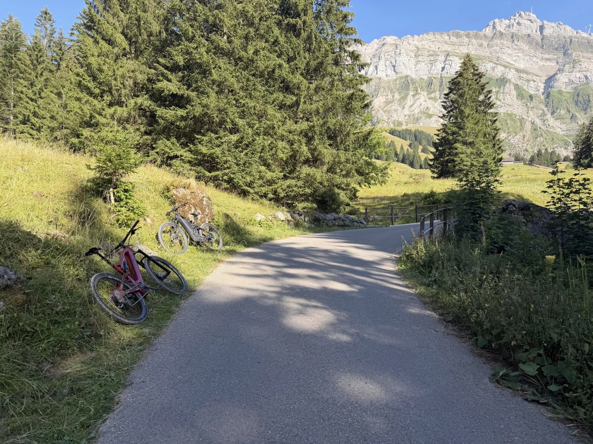 Zwei Fahrräder, eines rot, eines schwarz, lehnen an einem Waldweg an. Im Hintergrund sind Bäume und Berge zu sehen.