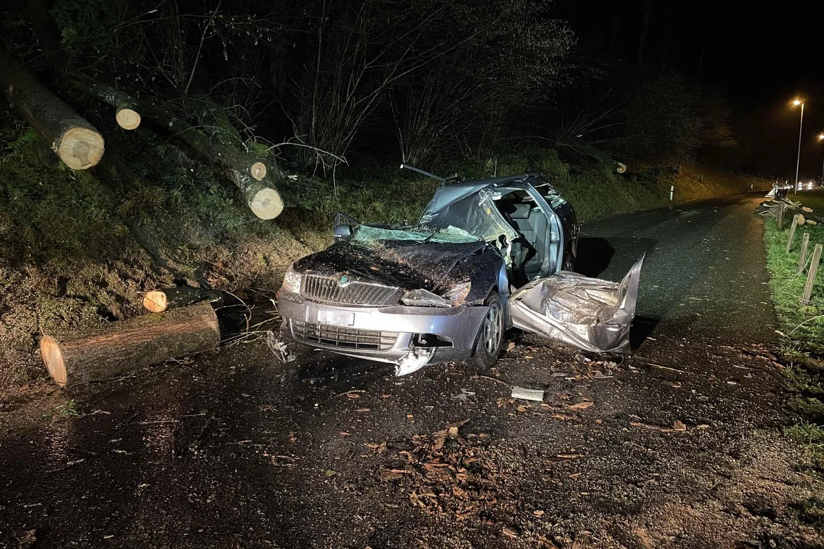 Schwerer Unfall in Siebnen SZ - Bäume auf Auto gefallen - Fahrer erheblich verletzt