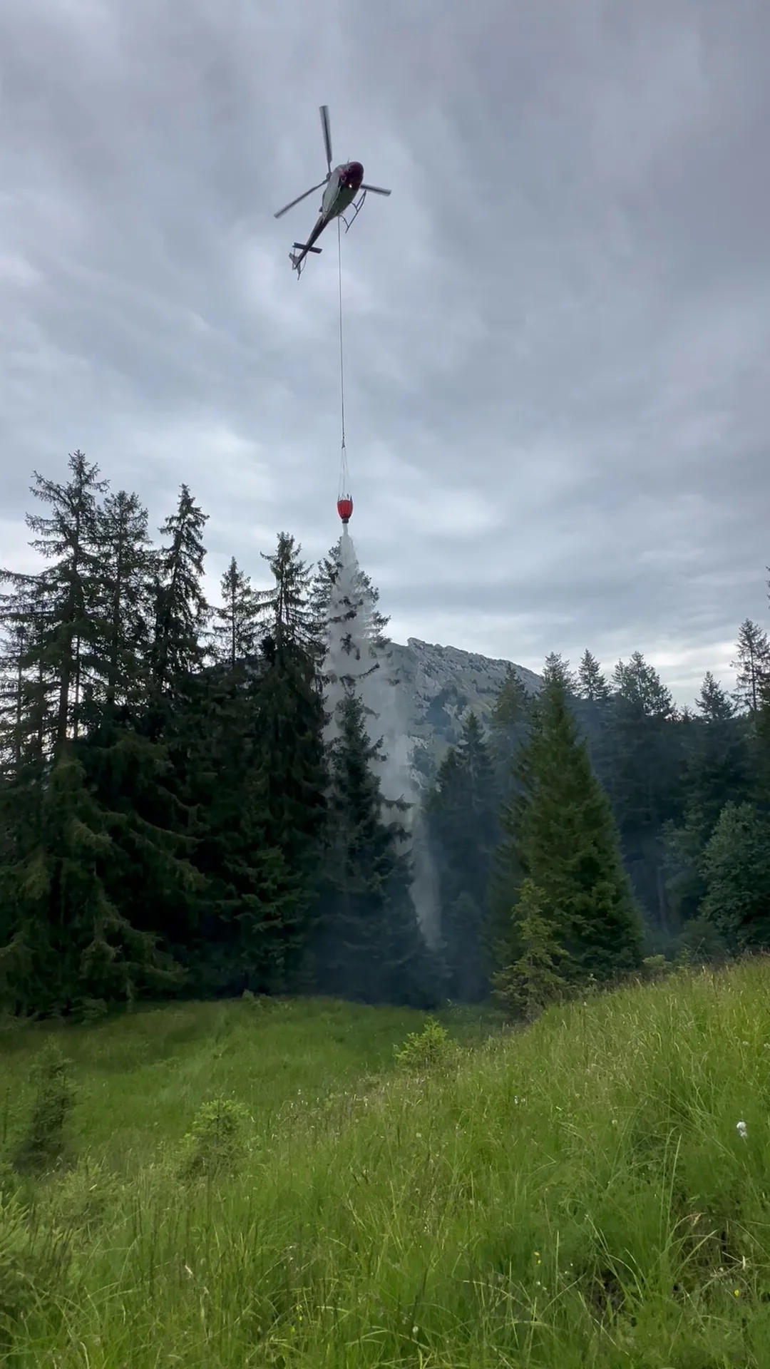 Ein Hubschrauber entlädt Wasser über einem Waldgebiet, um einen Brand zu bekämpfen. Im Hintergrund sind Bäume und Berge sichtbar.