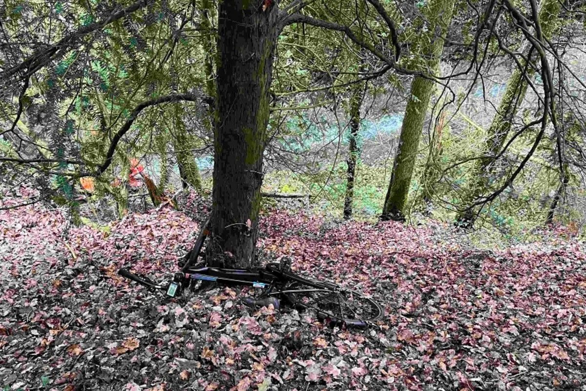 St.Margrethen SG - Velofahrer wird mit Winde aus Wald gerettet