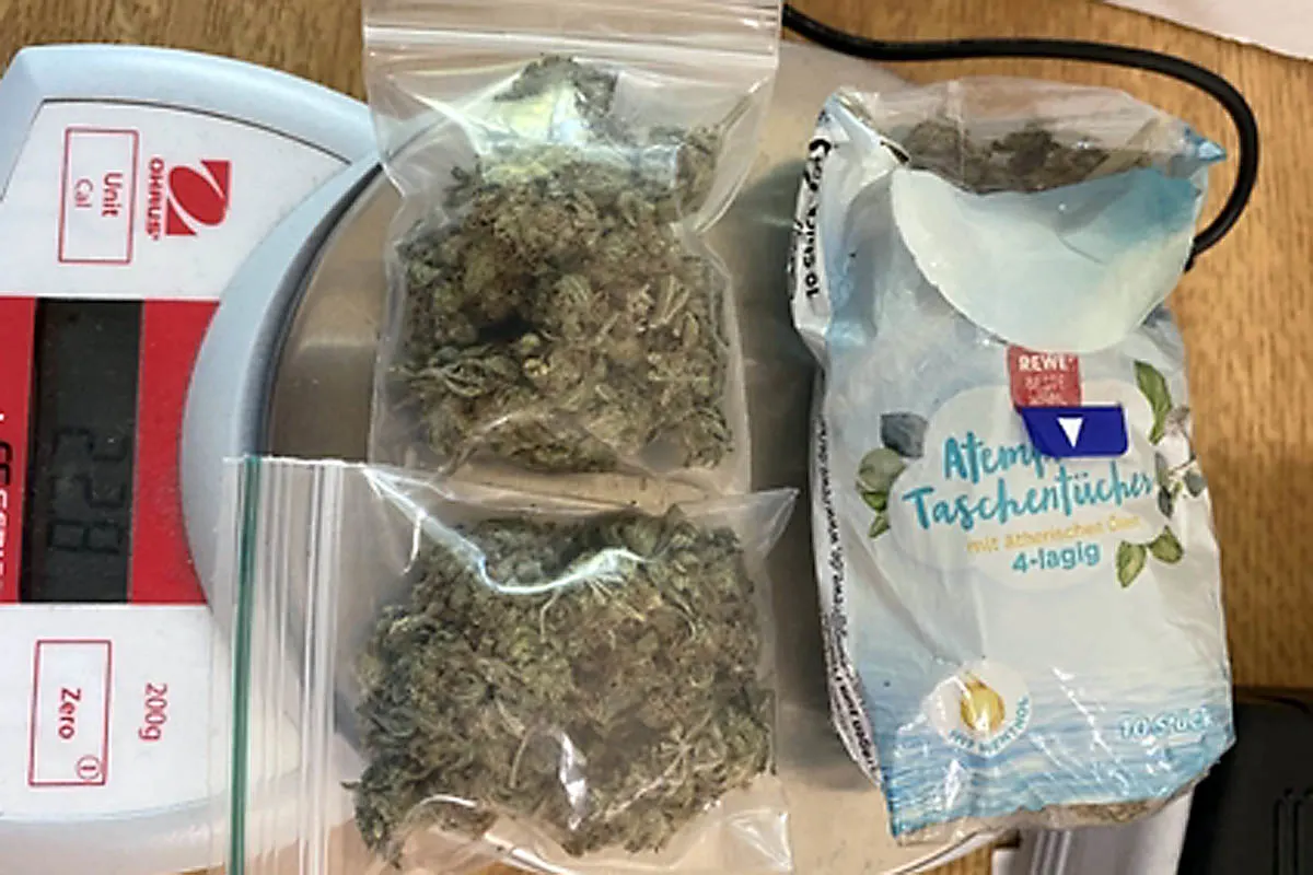 Flensburg - Bundespolizei stellt Marihuana im Bahnhof sicher