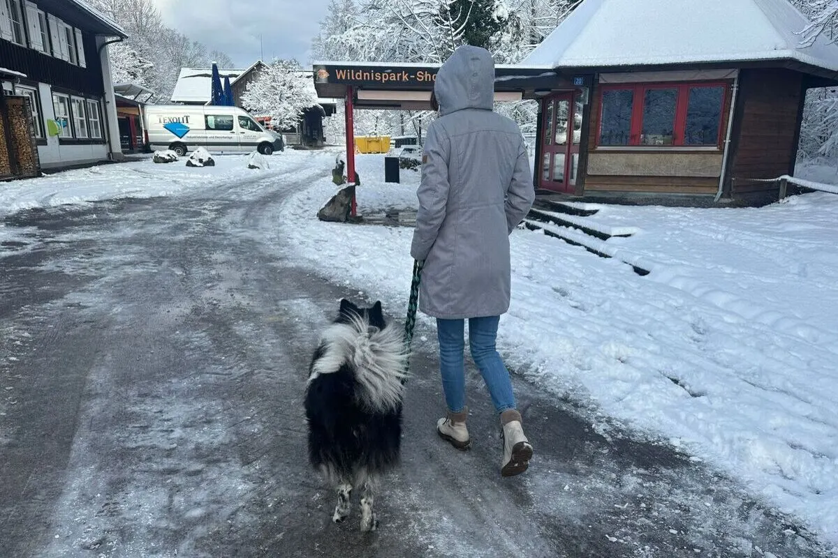 Leinenpflicht? Das gilt in der Schweiz