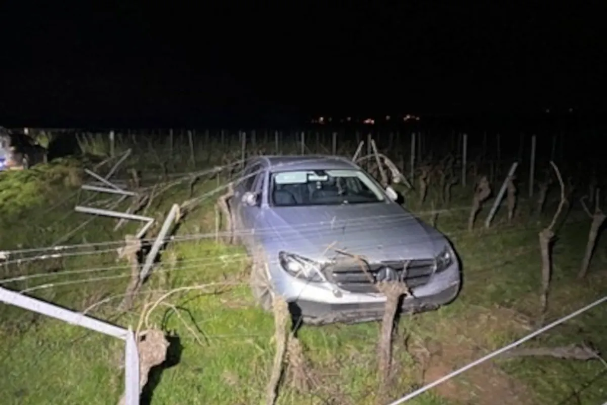 Edenkoben – Unfallflucht nach Fahrt durch Weinreben