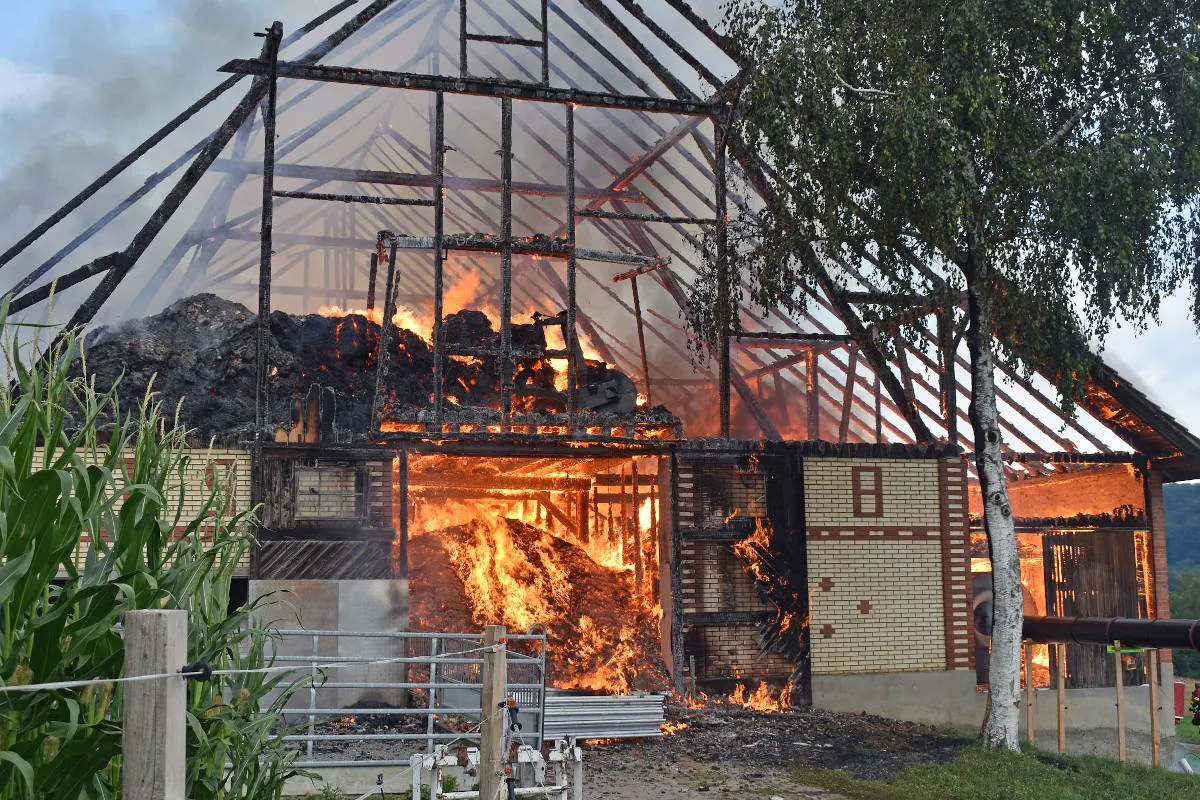 Triengen LU – Scheune niedergebrannt – Brandursache geklärt