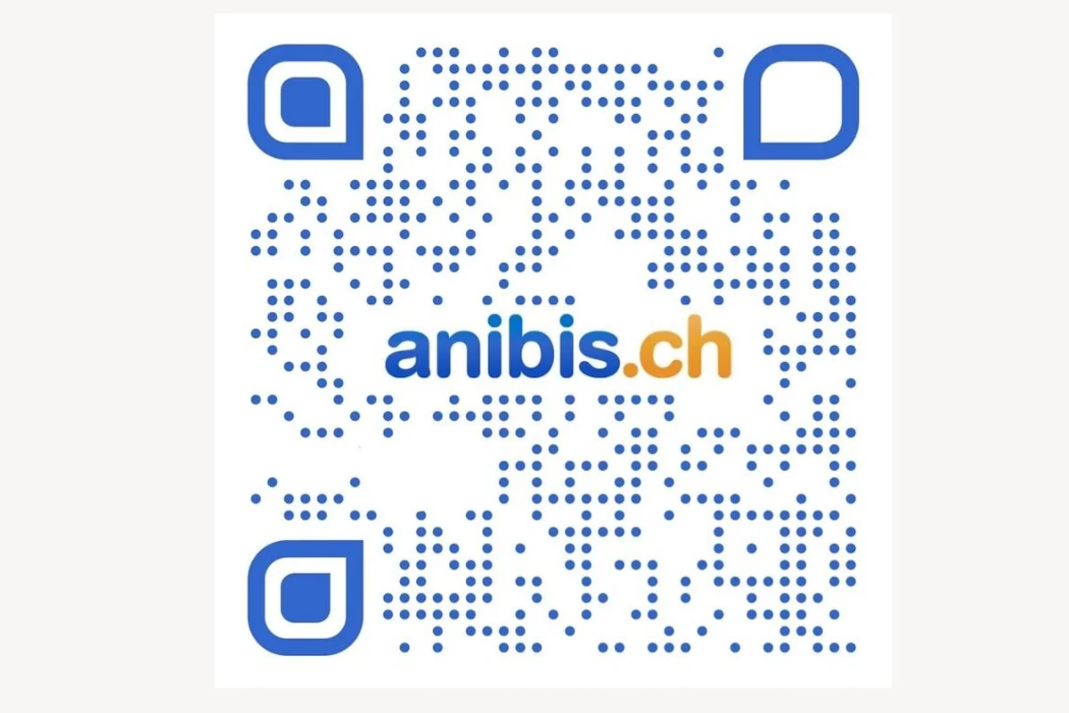 Kreditkartendaten mit Fake-QR-Codes geklaut