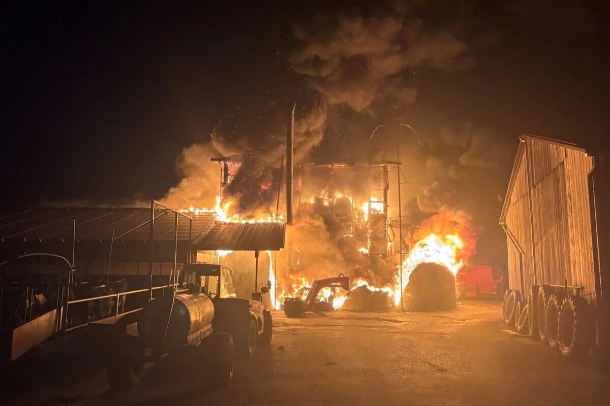 Schellenberg FL – Stall in Vollbrand – über 90 Tiere gerettet