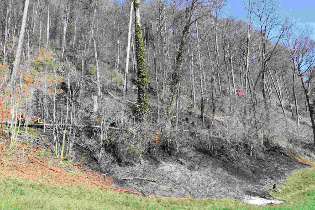 Heiligkreuz (Mels) SG - Waldstück in Brand geraten