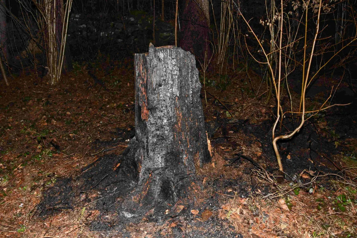 Amden/Oberuzwil SG - Feuerwehreinsätze wegen Mottbränden 