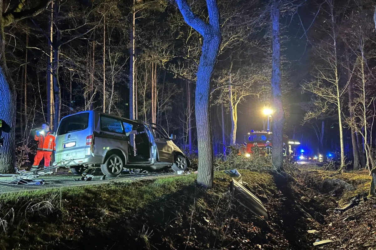 Splietau – VW-Transporter kollidiert frontal mit Baum – Fahrer verstirbt an Unfallstelle