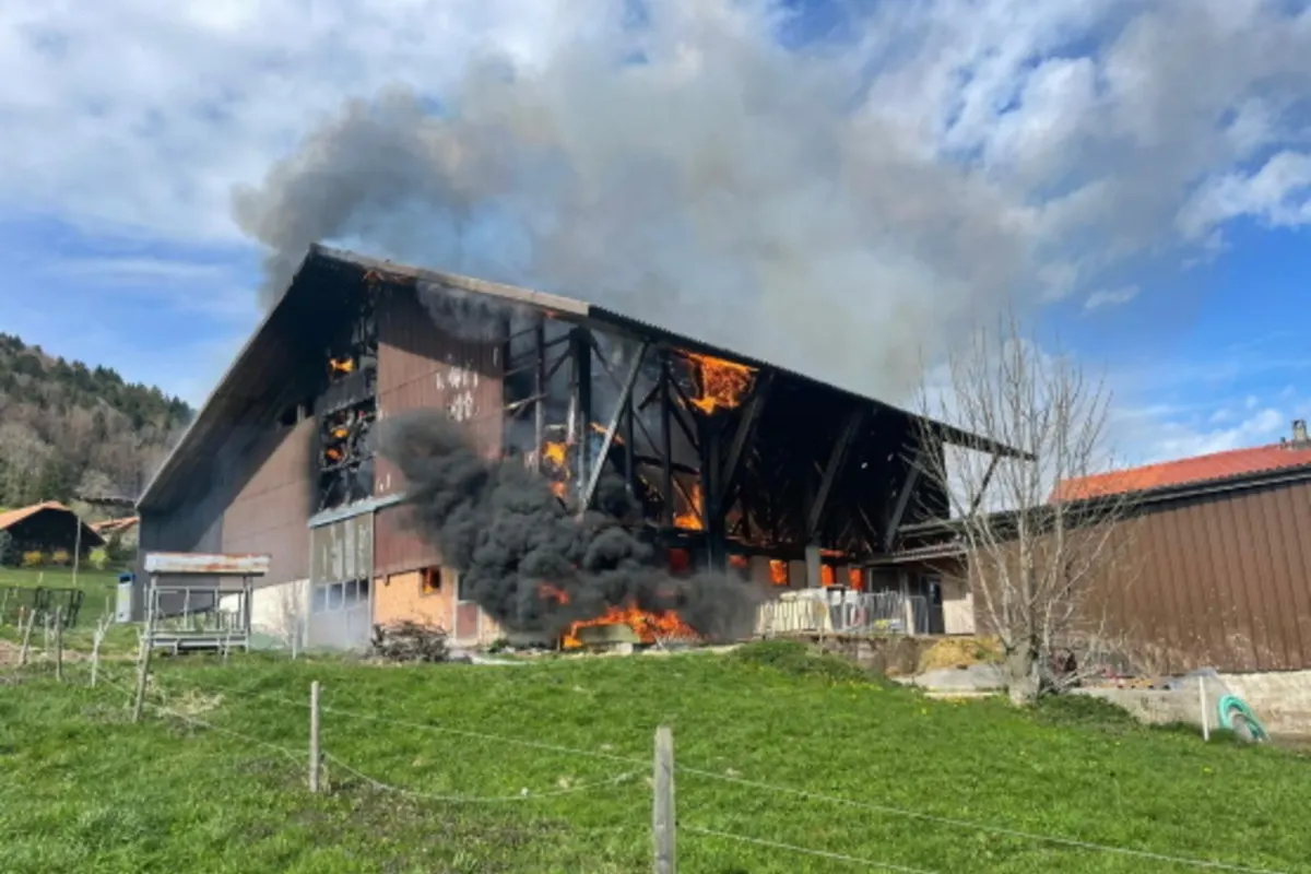 La Roche FR - Scheune bei Brand komplett zerstört