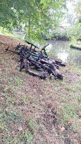 Eine Gruppe von E-Scootern liegt am bewaldeten Ufer eines Flusses. Laub und Gras bedecken teils den Boden.