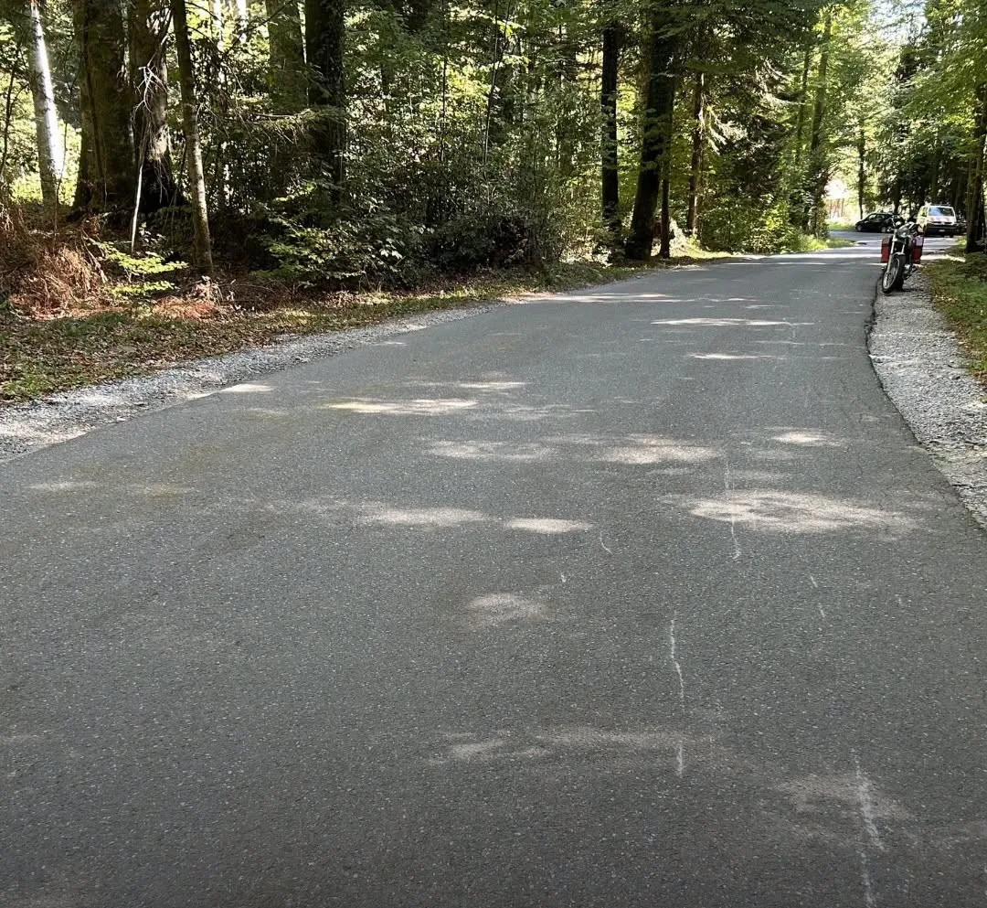 Eine Landstraße führt durch ein Waldgebiet, gesäumt von dichtem Grün. Am Straßenrand parkt ein Fahrzeug in der Ferne.