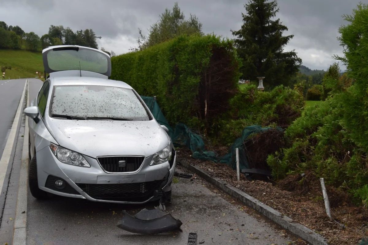 Wald AR - Personenwagen kollidiert mit Thujahecke