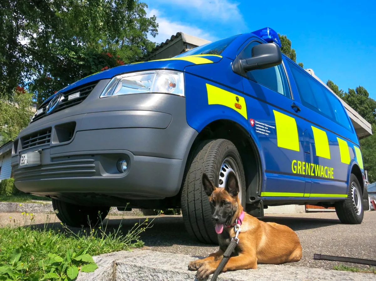 Ein blaues Grenzwache-Fahrzeug mit gelben Markierungen steht geparkt. Ein Hund liegt entspannt im Vordergrund auf dem Asphalt.