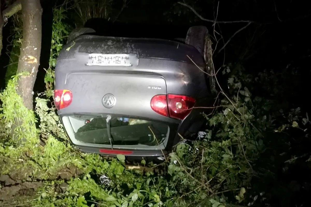 Polizei warnt vor Ausweichen bei Wildwechsel