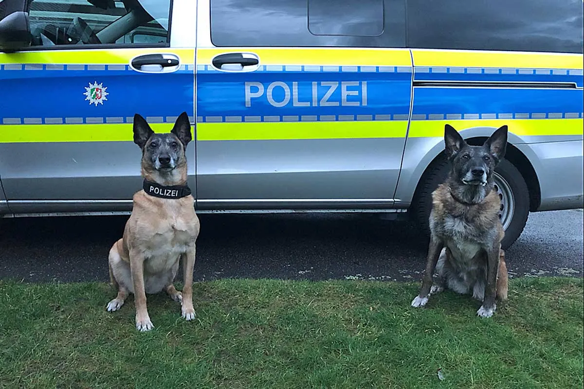 Mettmann - Polizei verabschiedet zwei "Spürnasen" in den Ruhestand