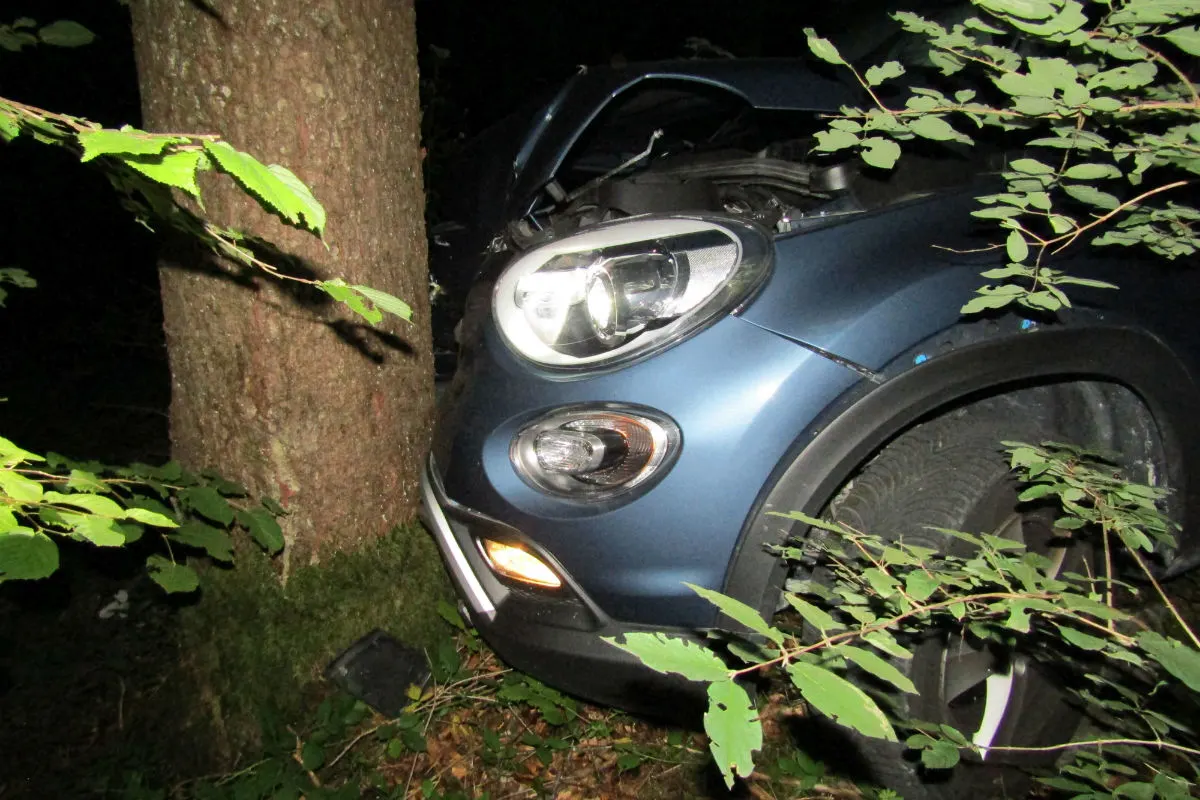 Näfels GL - Wegen Tier mit Baum kollidiert