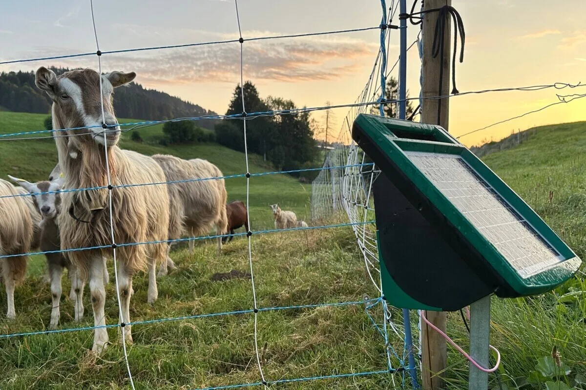 Kanton Appenzell Ausserrhoden - Weidezaunapparate werden vermehrt gestohlen
