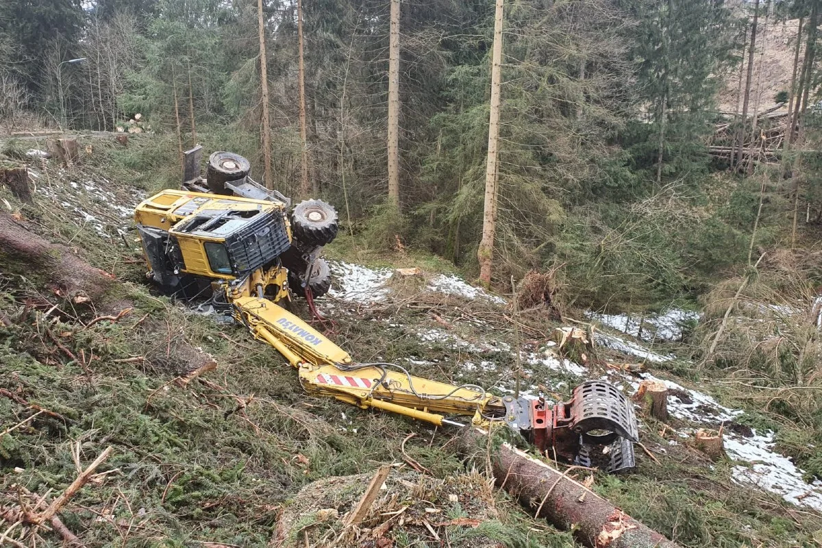 Altenau - Forstunfall endet glimpglich