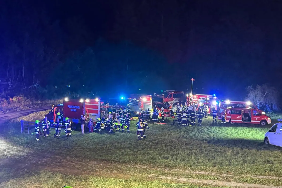 Eine Gruppe von Feuerwehrleuten steht in der Nähe mehrerer Einsatzfahrzeuge, ausgeleuchtet von Blaulicht, auf einer Wiese. Der Hintergrund ist dunkel.