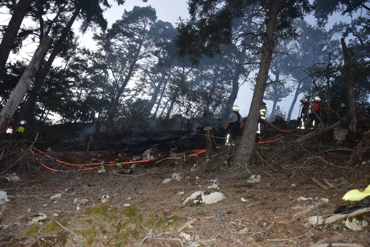 Mümliswil SO – Waldbrand erfordert Feuerwehreinsatz