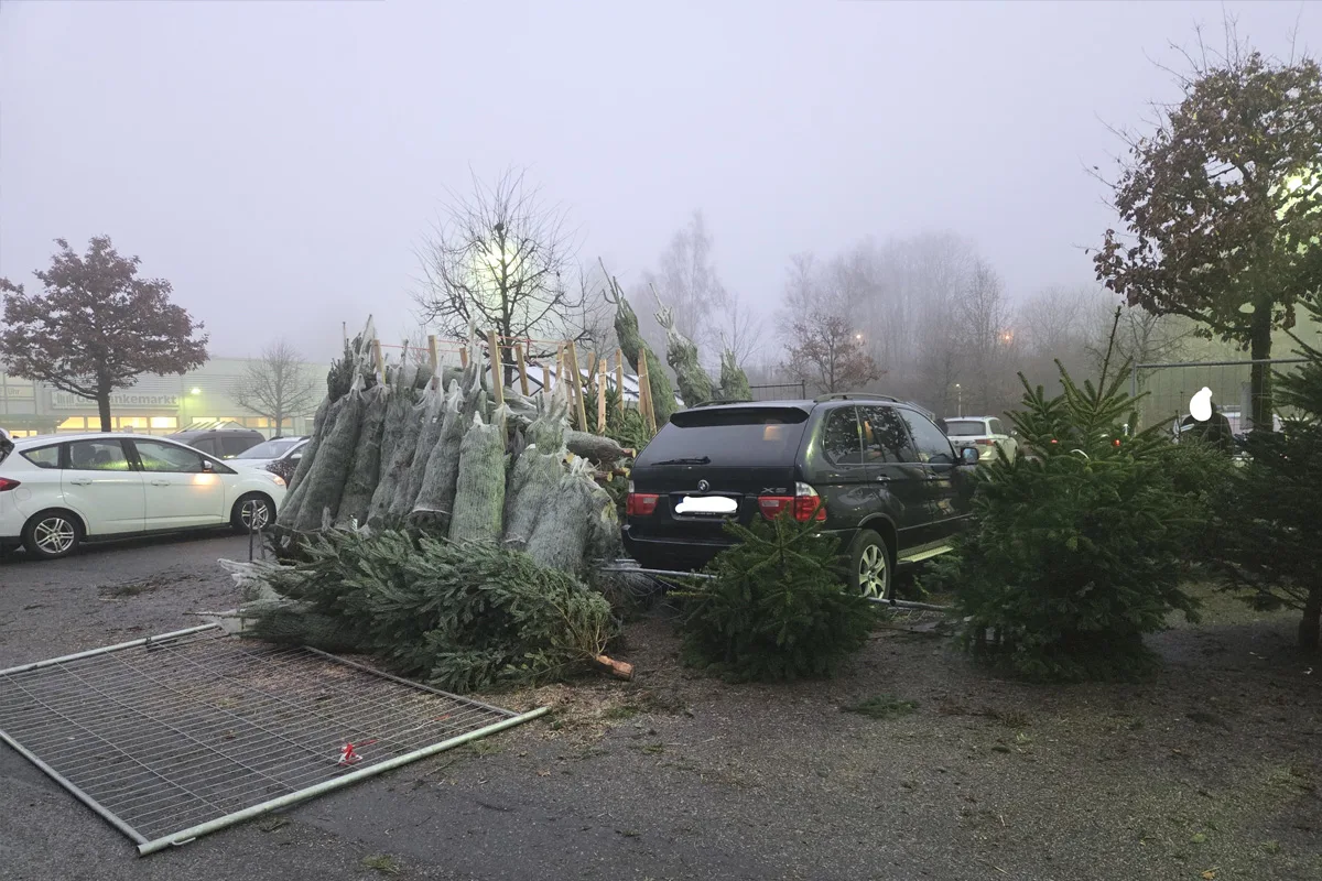 Clausthal-Zellerfeld – Pkw kollidiert mit Weihnachtsbäumen