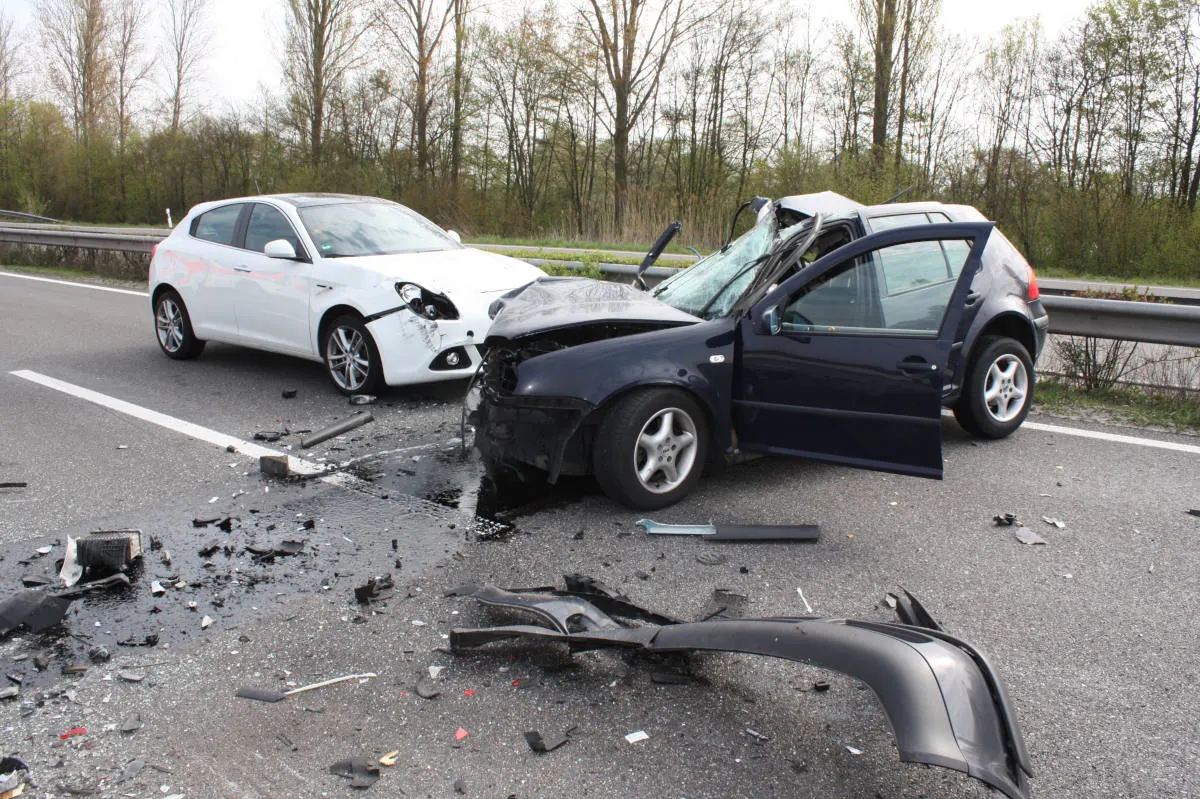 Entenfamilie löst schweren Unfall aus
