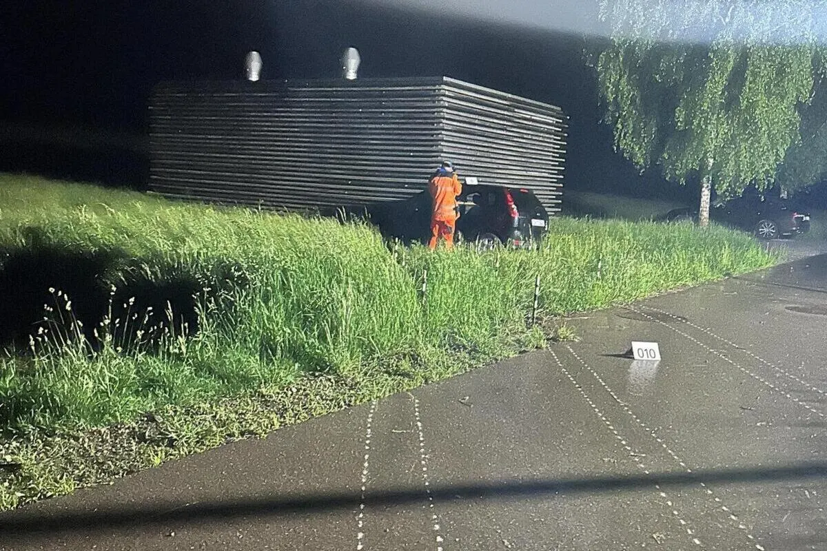 Unfall in Gossau ZH – Tier ausgewichen
