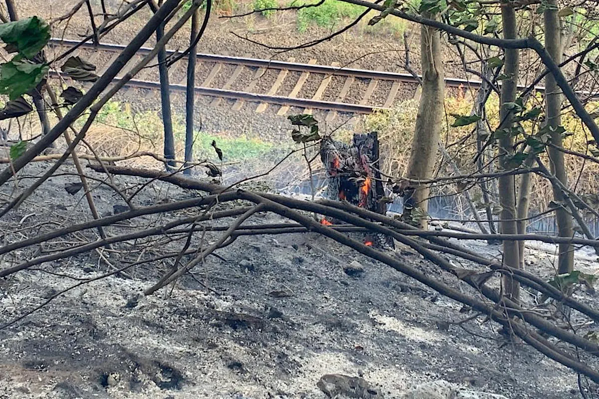 Flächenbrand auf Bahndamm in Essen